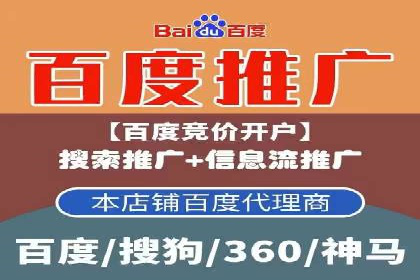 百度竞价包年推广效果：行业领先企业的成功之道